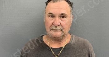 ALBRITTON, CLINT MORGAN | 2025-03-20 01:53:13 | Hardee County, Florida Booking