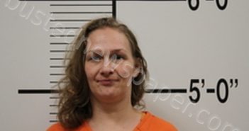 AMANDA JANE DOBSON | 2025-03-22 04:59:38 | Broadwater County, Montana Booking