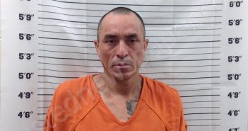 HERNANDEZ, ZENON | 2025-03-20 14:19:02 | Pickens County, Georgia Booking