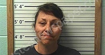 EVANS, MICHELLE RENEE | 2025-03-18 02:26:50 | Cleburne County, Arkansas Booking