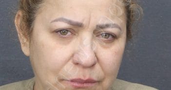 TORRES, YELITZA VIRGINIA | 2025-03-19 03:31:21 | Broward County, Florida Booking