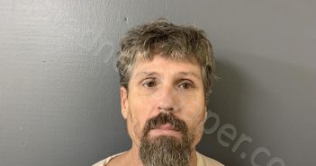 FERGUSON, JONATHAN MATTHEW | 2025-03-21 16:31:29 | Hardee County, Florida Booking