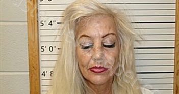 BEARD, CAROL MILAM | 2025-03-18 12:32:05 | Cleburne County, Arkansas Booking