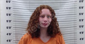 SHIREY, BAYLEIGH LYNN | 2025-03-20 14:13:33 | Pickens County, Georgia Booking