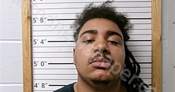 WILLIAMS, DAVON EXZAVOR | 2025-03-18 12:35:17 | Cleburne County, Arkansas Booking