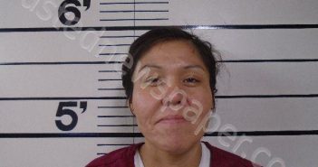 NOTAFRAID, SASHA FRANCES | 2025-03-22 02:52:37 | Big Horn County, Montana Booking