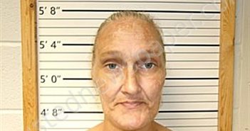 MELTER, REBECCA LEIGH | 2025-03-18 12:23:54 | Cleburne County, Arkansas Booking