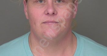 MOBLEY, TANYA LYNN | 2025-03-21 19:16:20 | Highlands County, Florida Booking